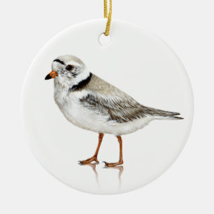 Piping Plover Ornament