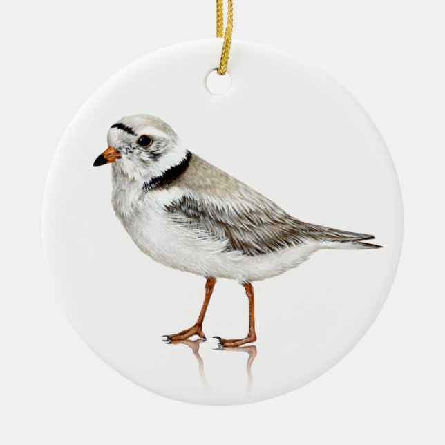 Piping Plover Ornament (Front)