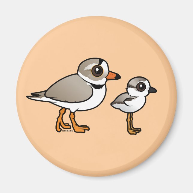 Piping Plover with chick Magnet (Front)