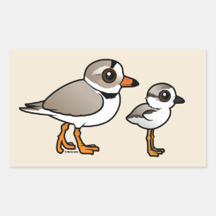 Piping Plover with chick Sticker
