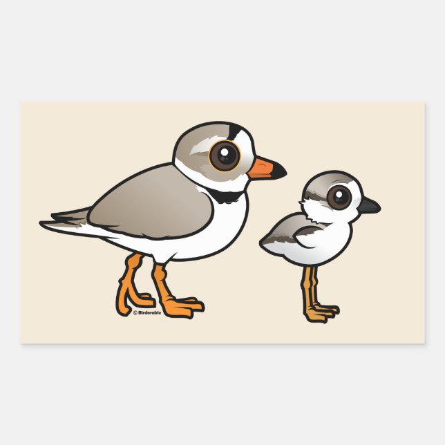 Piping Plover with chick Sticker (Front)