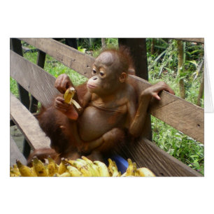 Pique-nique animal de banane de bébé