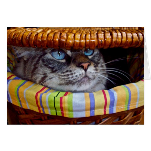 Pique-nique de chat (Devant horizontal)