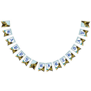 Pirate Birthday Party Bunting Flags