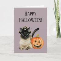 Pirate Cat Jack O Lantern Happy Halloween