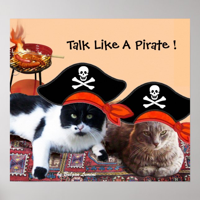 PIRATE CATS ,Talk like a Pirate Day Bbq Party Poster (Front)
