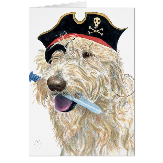 Pirate Cream Labradoodle (Front)