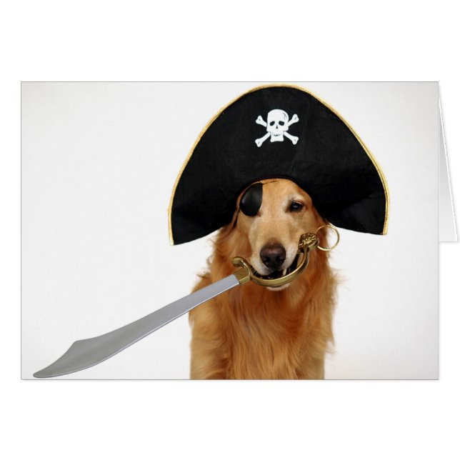 Pirate d'or (Devant horizontal)