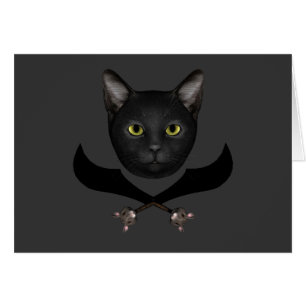 Pirate Drapeau Chat