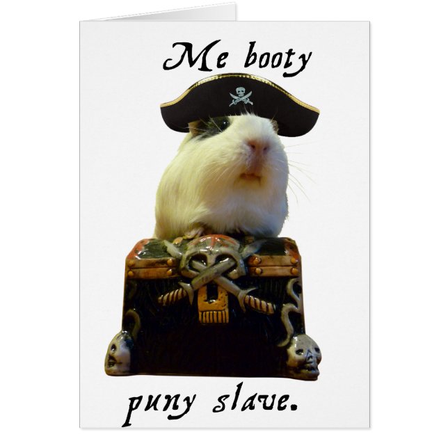 Pirate drôle de porc de Guinée (Devant)