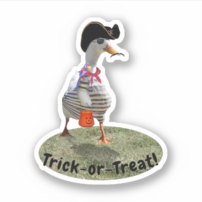Pirate Duck Halloween (Front)