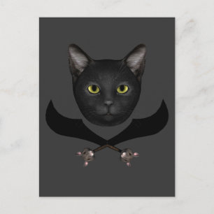Pirate Flag Cat Postcard
