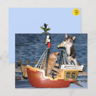 Pirate Kittens Postcard