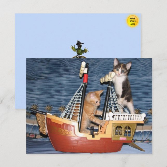 Pirate Kittens Postcard (Front/Back)