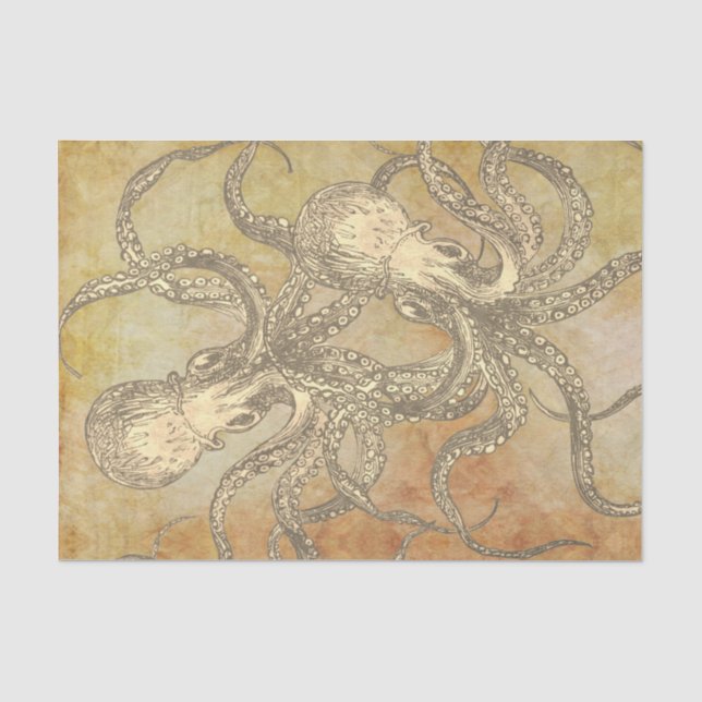 Pirate Parchment and Octopus  Tissue Paper (Front)
