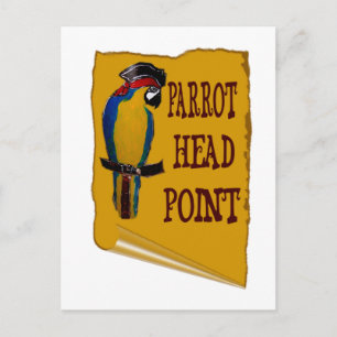 Pirate Parrot Head Postcard