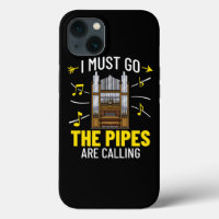 Pirate Parrot I Green Cheek Pineapple Conure