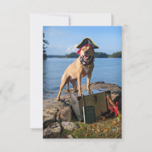 Pirate Sea Dog costume book Funny Chien Carte phot