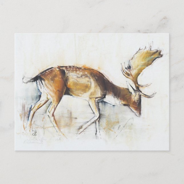 Pisanello Buck 2006 Postcard (Front)