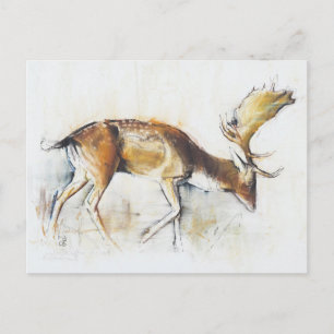 Pisanello Buck 2006 Postcard