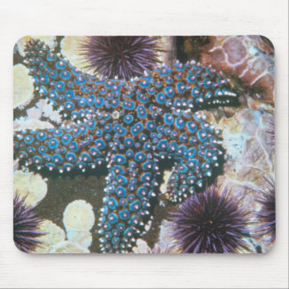 Pisaster Giganteus Starfish Mouse Pad