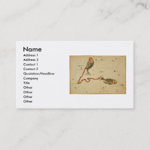 Pisces Business Card