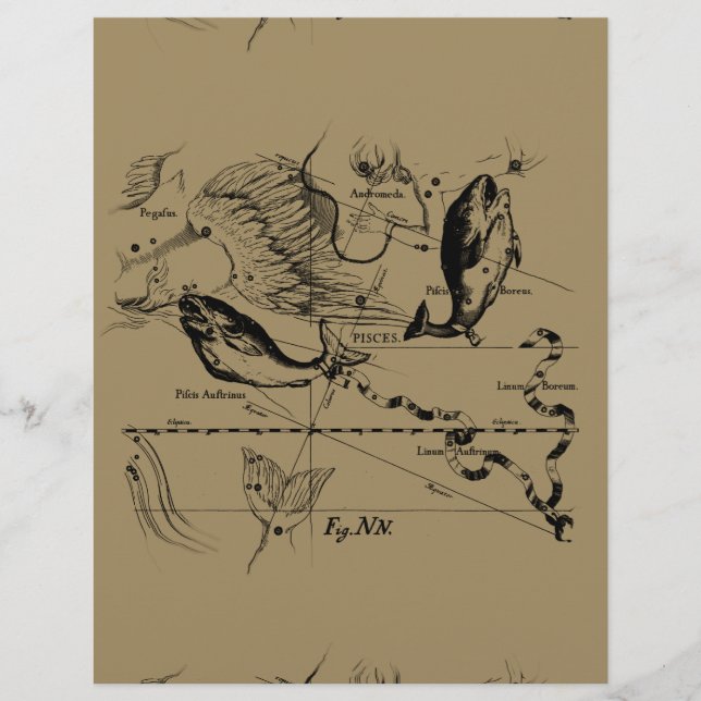 Pisces Constellation Hevelius 1690 Decor (Front)