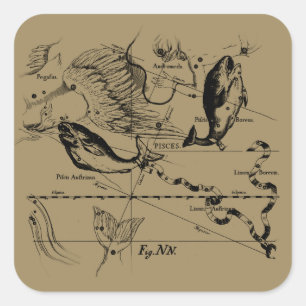 Pisces Constellation Hevelius 1690 Decor Square Sticker