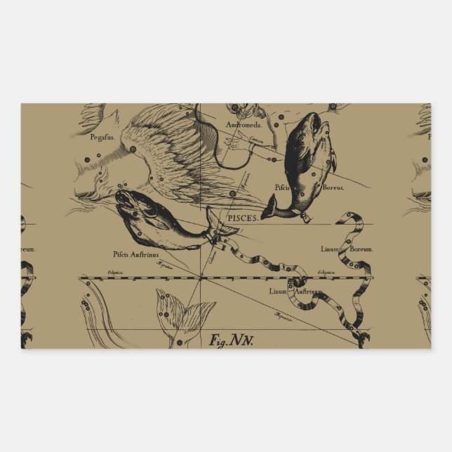 Pisces Constellation Hevelius 1690 Decor Sticker (Front)