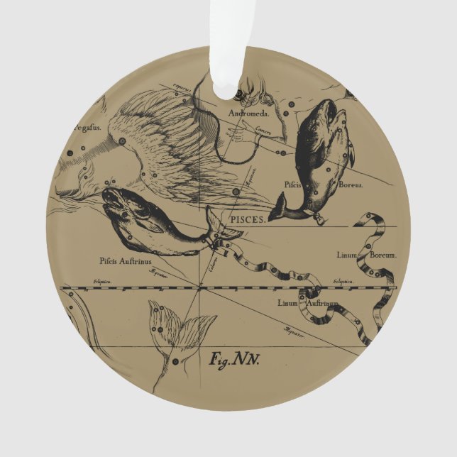 Pisces Constellation Hevelius 1690 Engraving Ornament (Front)
