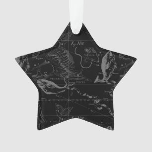 Pisces Constellation Hevelius 1690 Map Engraving Ornament