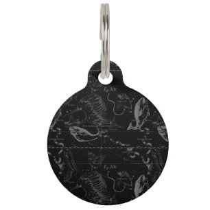 Pisces Constellation Hevelius 1690 Map Engraving Pet Tag