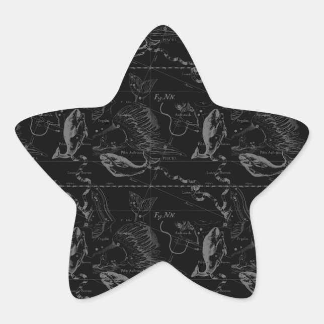 Pisces Constellation Hevelius 1690 on Black Star Sticker (Front)