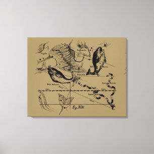 Pisces Constellation Hevelius circa 1690 Canvas Print