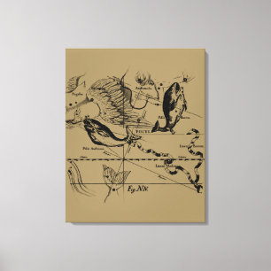 Pisces Constellation Hevelius circa 1690 Canvas Print