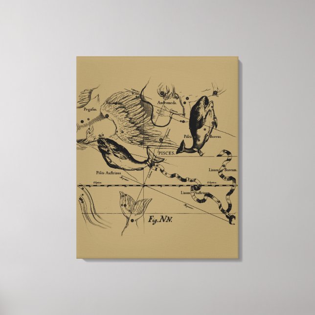 Pisces Constellation Hevelius circa 1690 Canvas Print (Front)