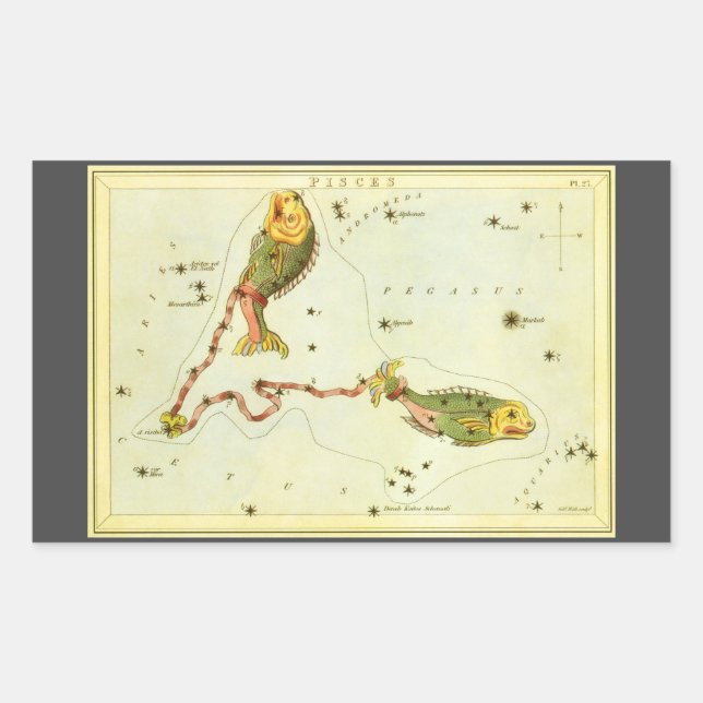 Pisces Fish, Vintage Constellation Urania's Mirror Sticker (Front)