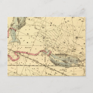 Pisces Postcard