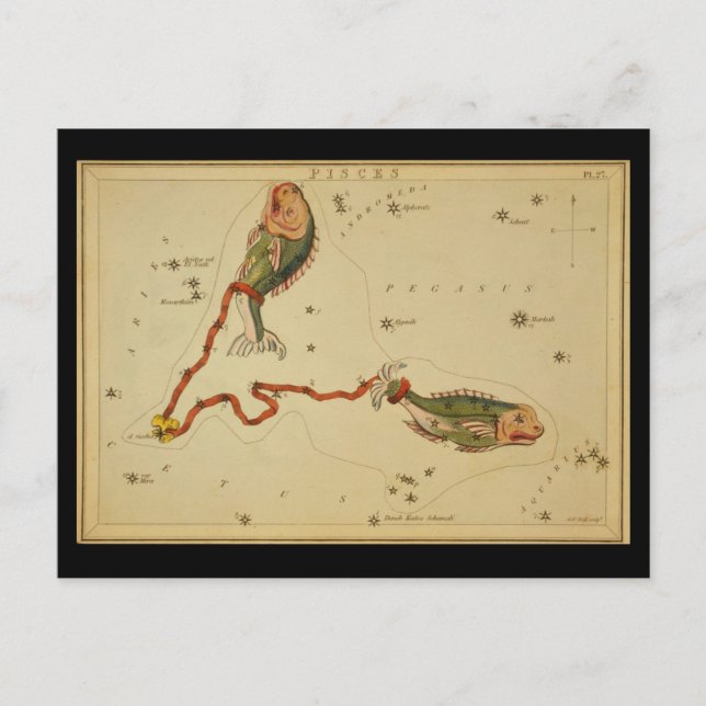 Pisces Postcard (Front)