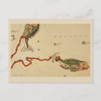 Pisces Zodiac Sign Postcard