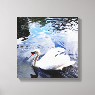 PISCINE SWAN toile étirée Impression