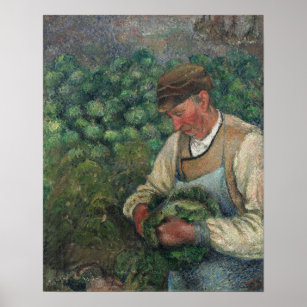 Pissarro - The Gardener Old Peasant With Cabbage Poster