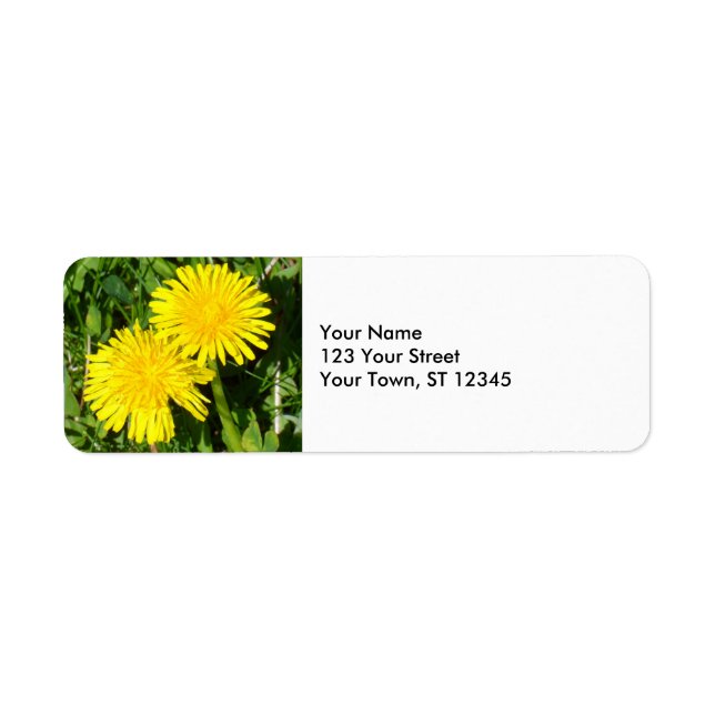 Pissenlits (Devant)