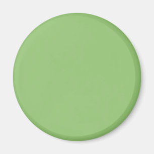 Pistachio Solid Colour Magnet