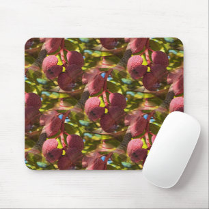 Pistachios... Mouse Pad