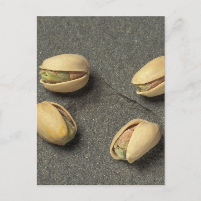 Pistachios Postcard (Front)