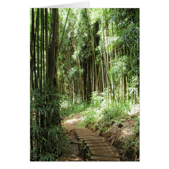 Piste Bamboo (Devant)