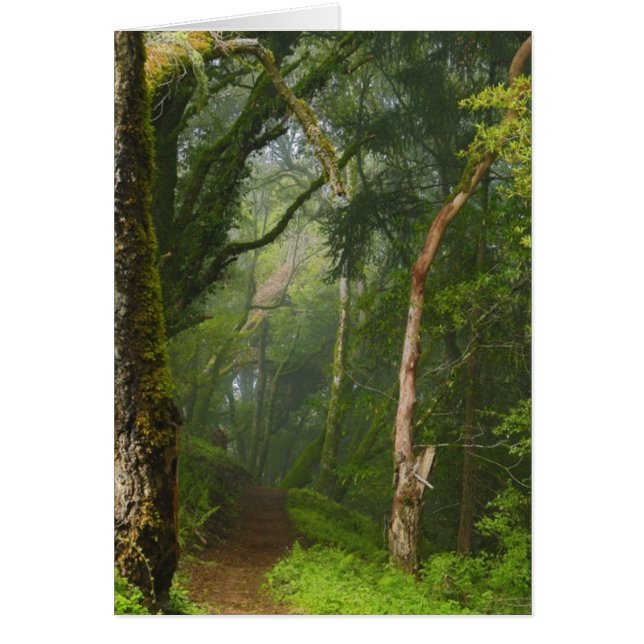 Piste des chênes antiques (Devant)