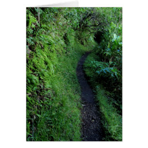 Piste des falaises de Manoa