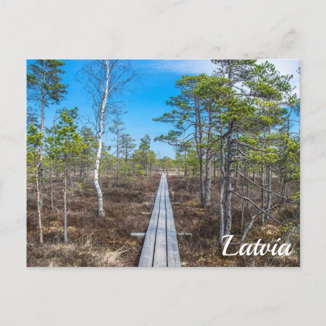 Piste en bois au-dessus de la carte postale du mar (Devant)